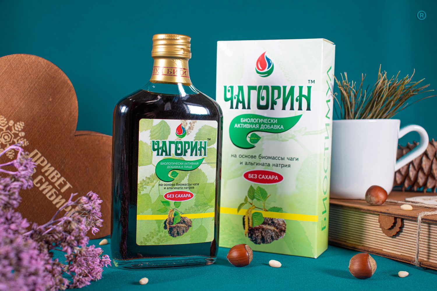 Чагорин