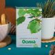 Осина 50 гр