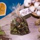 Иван чай с травами и ягодой “Сила тайги” 50гр